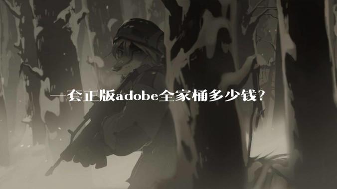 一套正版adobe全家桶多少钱？