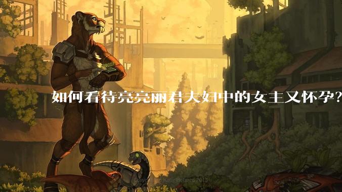 如何看待亮亮丽君夫妇中的女主又怀孕？