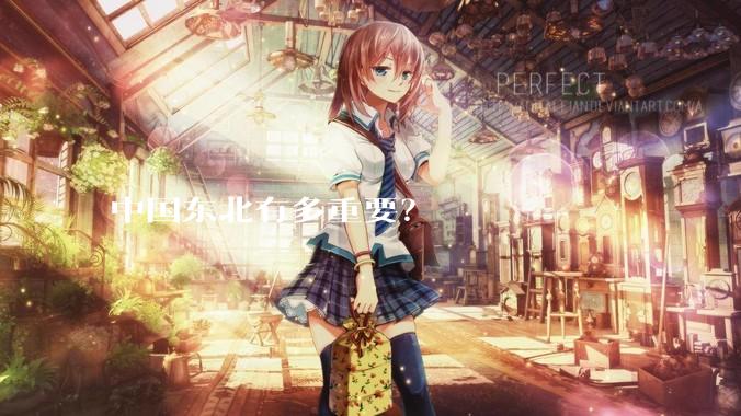 中国东北有多重要？