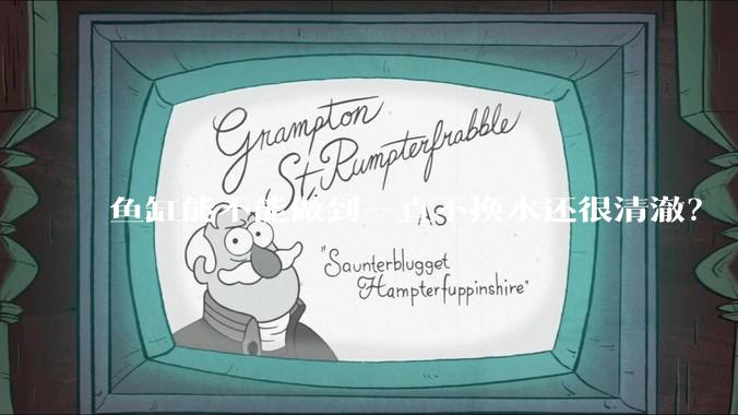 鱼缸能不能做到一直不换水还很清澈？