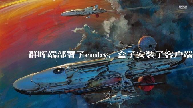 群晖端部署了emby，盒子安装了客户端播放蓝光电影为什么不能显示影片自带字幕？