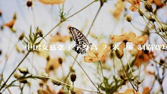 中国女篮张子宇身高 2 米 26 制霸赛场，身高因素在篮球比赛中能占多大优势？她会是下一个「姚明」吗？