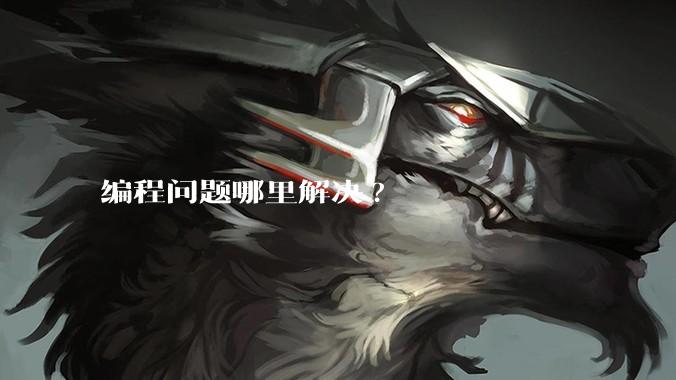 编程问题哪里解决?